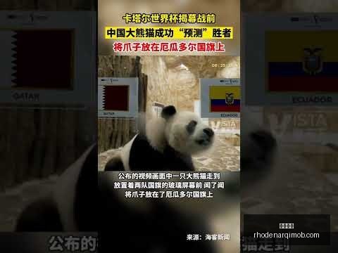 南京城市队,迎重磅签约,特谢拉加盟,开云全站官网,开云全站,开云体育,开云入口,开云代理