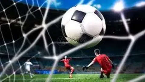 阿加西推崇的匹克球新宠：揭秘其独特魅力所在