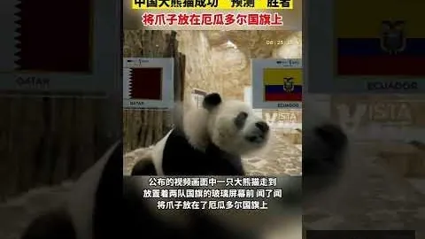 南京城市队迎重磅签约！特谢拉加盟传闻升温，主帅携手亮相备受关注