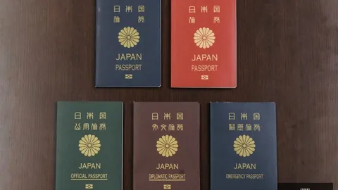 比利时主帅开云代理：败后逆袭，卢卡库成球队核心领袖